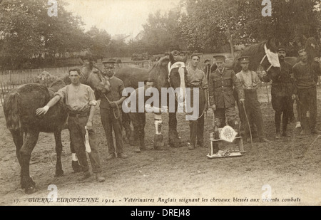 English vets on the Western Front Stock Photo