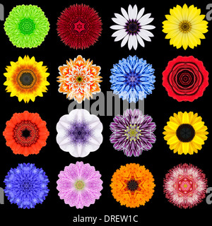 Big Collection of Various Colorful Flowers. Kaleidoscopic Mandala Patterns Isolated on Black Background. Concentric Rose, Daisy, Stock Photo