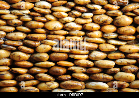 Stone Wall Stock Photo