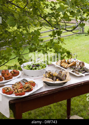 Maryland USA buffet table set up in garden Salads buffet Stock Photo