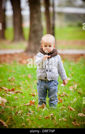 boy with dandelion Stock Photo - Alamy