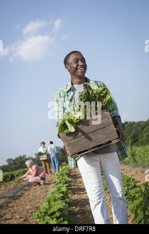 Maryland USA boy holding large wooden box of fresh vegetables Stock Photo