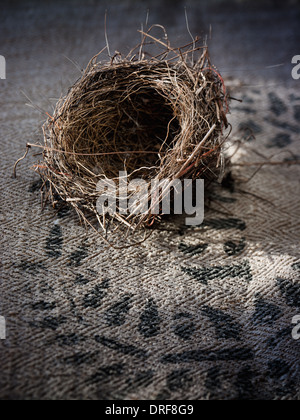 Maryland USA small intricately woven bird's nest