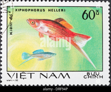 postage stamp Stock Photo