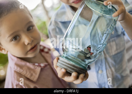 Utah USA child holding glass jar and examining butterfly Stock Photo