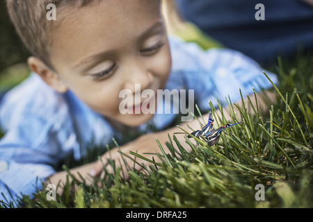 Utah USA boy lying on elbows on grass examining butterfly Stock Photo