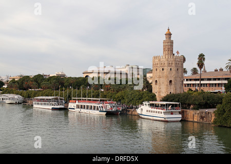 The Torre del Oro (the 'Gold Tower') on the northern bank of the Rio Guadalquivir, Seville (Sevilla), Andalusia, Spain. Stock Photo