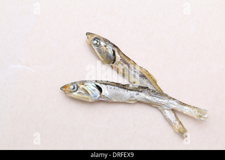 Dried small fish used in japanese cuisine, on japanese paper background Stock Photo