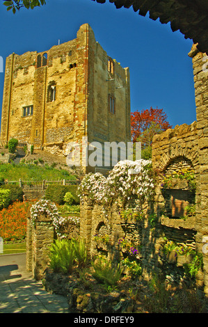 Ruins of Guildford Cathedral are framed with an arch from the outer stone walls. The grounds are now formal gardens Stock Photo