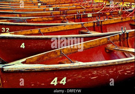 Rowing boats moored on the River Avon at Stratford. These hire boats are a common sight throughout the summer months. Stock Photo