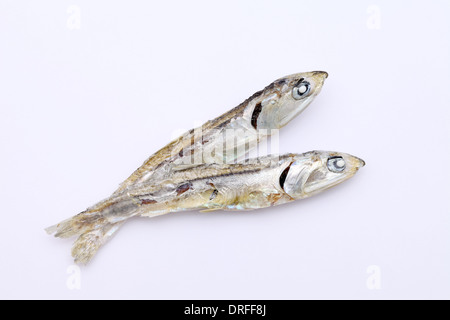 Dried small fish used in japanese cuisine, on white background Stock Photo
