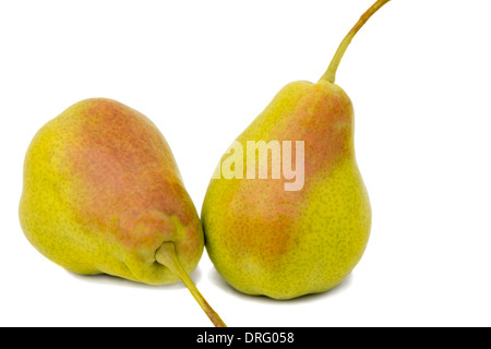 Two ripe large yellow pears. Presented on a white background. Stock Photo