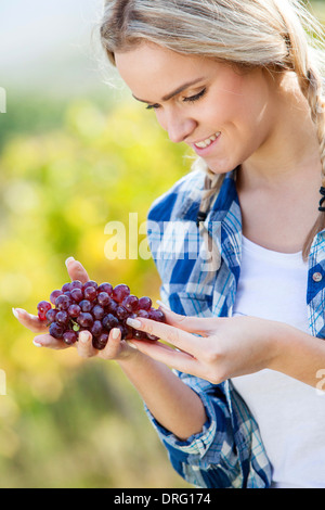 Grape harvest, young woman controlling grapes, Slavonia, Croatia Stock Photo