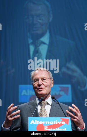 Former president of the Federation of German Industries (BDI), Hans-Olaf Henkel, speaks at the federal party conference of the AfD (Alternative for Germany) in Aschaffenburg, Germany, 25 Janaury 2014. The euro-sceptic party met to choose candidates for the European Parliament elections due to take place 25 May. Photo: DAVID EBENER/dpa Stock Photo