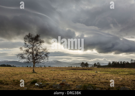 Lenticular clouds over the Cairngorms from Nethy Bridge in Scotland. Stock Photo