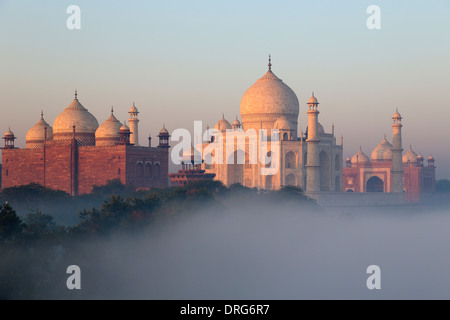 India, Uttar Pradesh, Agra, Taj Mahal at sunrise Stock Photo