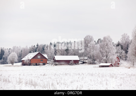 Snowy farmhouse in the midwinter day Stock Photo