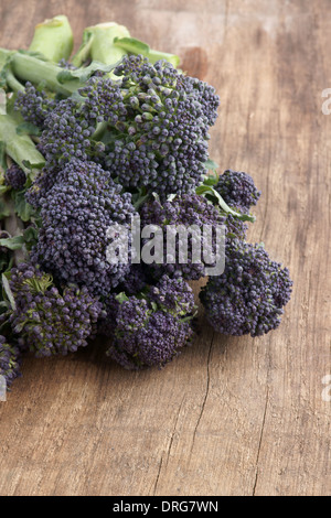 Purple sprouting broccoli a vegetable high in nutrients Stock Photo