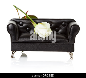 Sofa, couch with white rose close-up isolated Stock Photo