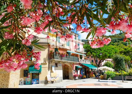 House Exterior Viewed from Under a Blooming Tree, Monterosso Al Mare, Cinque Terre, Liguria, Italy Stock Photo
