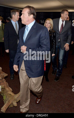 Kitzbuehl, Germany. 25th Jan, 2014. Former US governor of California and Hollywood actor Arnold Schwarzenegger and his girlfriend Heather Milligan (back) arrive with German actor Ralf Moeller (R) for the annual Kitz Race Party at the Hahnenkamm skiing race 2014 event in Kitzbuehl, Germany, 25 January 2014. Celebrities from the world of business, sports, politics and entertainment gather for the annual event in the famous skiing resort. Photo: Felix Hoerhager/dpa/Alamy Live News Stock Photo