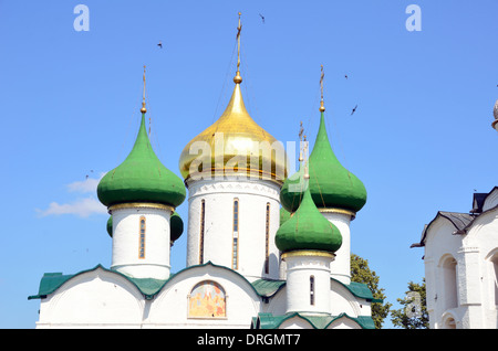 Saviour Monastery of St Euthymius in Saviour Monastery of St Euthymius, Russia Stock Photo