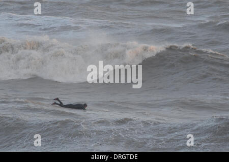 Hastings, East Sussex, UK. 26th Jan, 2014. Surfer looking for that wave in the sea off Hastings Old Town Beach Credit:  David Burr/Alamy Live News Stock Photo