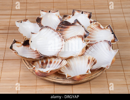 Wooden plate with shell scallops on a bamboo background Stock Photo