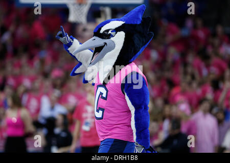 Blue jays mascot hi-res stock photography and images - Alamy