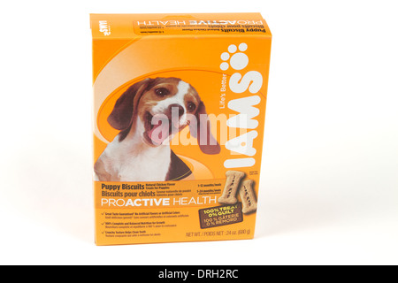 iams dog biscuits