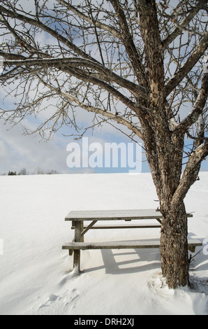 Winter picnic table Stock Photo