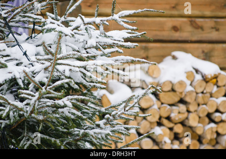 Birch fire wood at a wall of the house in winter Stock Photo