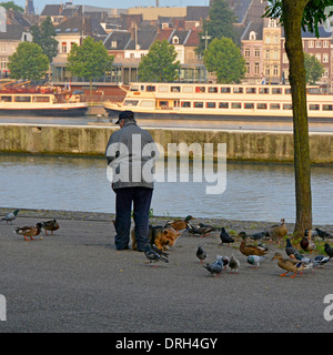 Maastricht back view man walking dog beside River Meuse early morning stops to feed ducks moored sightseeing tour boats & urban landscape beyond EU Stock Photo