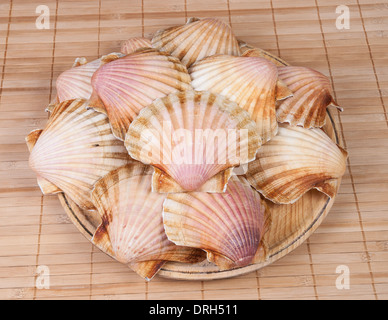 Wooden plate with shell scallops on a bamboo background Stock Photo