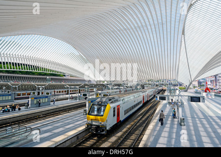 Belgium Liege Guillemins railway station by architect Santiago Calatrava unusual glass curved roof in modern building train at station platform EU Stock Photo