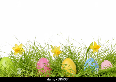 Easter eggs hiding in the grass with daffodil Stock Photo