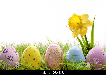 Easter eggs hiding in the grass with daffodil flower Stock Photo