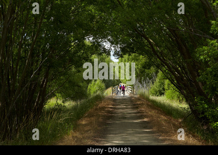 Mountain bikers on Otago Central Rail Trail near Galloway, Central Otago, South Island, New Zealand Stock Photo