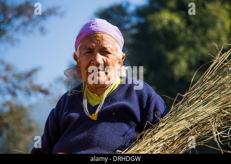 Woman gathering grass in the hills above Kathmandu, Nepal Stock Photo