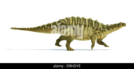 Talarurus dinosaur, photo-realistic, scientifically correct representation. Side view. On white background with drop shadow. Stock Photo