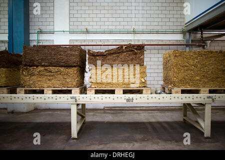 tobacco conveyor belt Primary Processing Tobacco belt hi-res stock photography