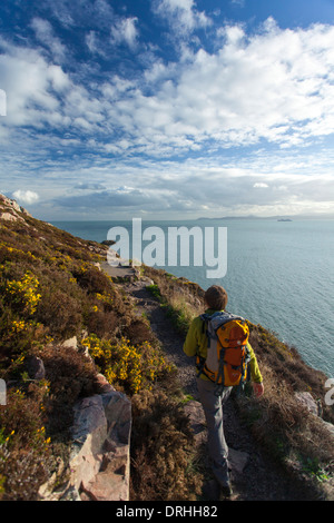 Walker on the Bog of Frogs Loop near Red Rock, Howth Coastal Path, County Dublin, Ireland. Stock Photo