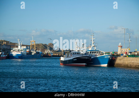 Fishing trawlers moored in Howth harbour, County Dublin, Ireland. Stock Photo