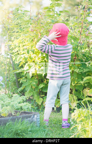 Tranquil summer scene. Young girl in garden, watching plants and flowers. Stock Photo