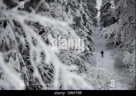 the Hoher Meissner mountain, Germany. 27th Jan, 2014. A cross country skier enjoys himself as he slides along a snow white path through the trees on the Hoher Meissner mountain, Germany, 27 January 2014. More snow and sub-zero temperatures are forecast for the region according to weather reports. Photo: UWE ZUCCHI/dpa/Alamy Live News Stock Photo