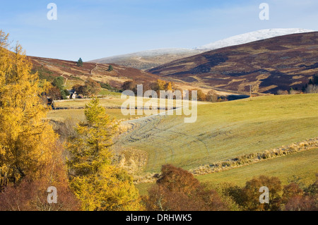 Glen Gairn on a frosty autumn morning, near Ballater, Deeside, Aberdeenshire, Scotland. Stock Photo