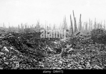 Shell-shattered trees at Gommecourt, France, WW1 Stock Photo - Alamy