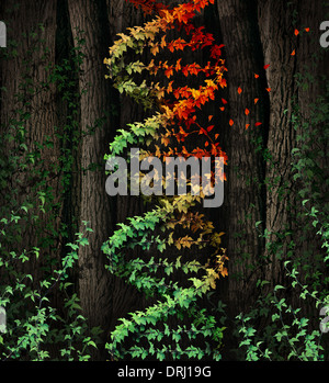 DNA damage symbol as a dark tree forest growing a green vine in the shape of a genetic double helix icon that is aging to autumn colors losing leaves as a metaphor for age related illness and cancer disease. Stock Photo