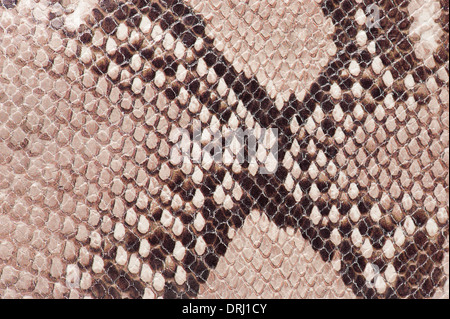 macro detail of snake brown leather Stock Photo