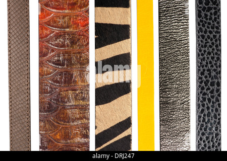 Closeup of various brown leather belts isolated on white background Stock Photo